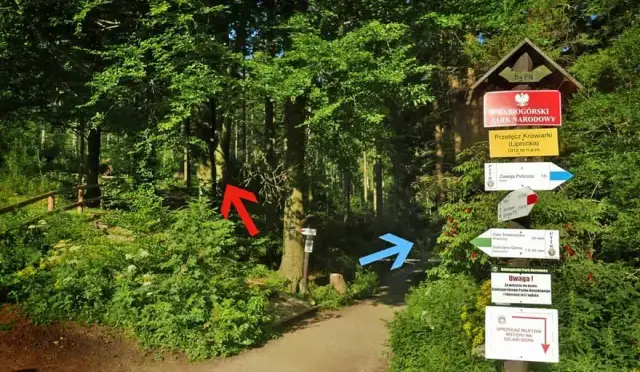 Babia Góra czerwony szlak: Ile km, ile czasu? Uniknij błędów!