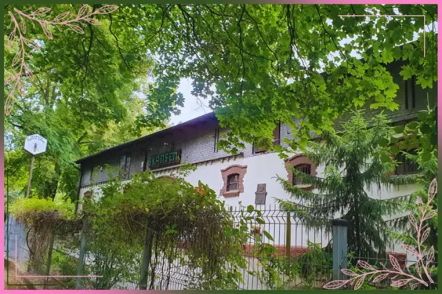 Skansen pszczelarski w Swarzędzu - historia, eksponaty i atrakcje