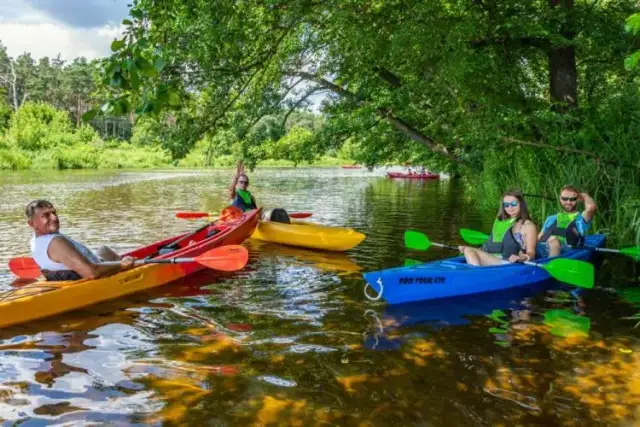 Spływ kajakowy Wkrą Pomiechówek: Przewodnik, Ceny i Trasy