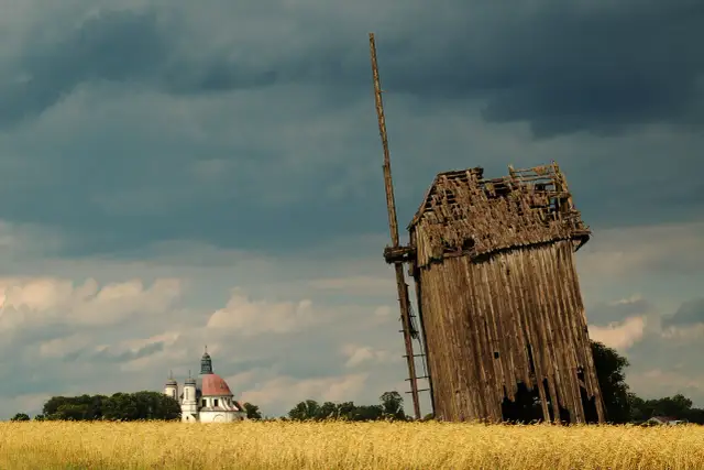 Ruiny drewnianego wiatraka na tle pola zboża i kościoła.