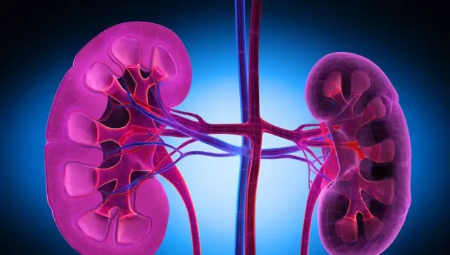 Niewydolność nerek: psychiczne objawy, przyczyny i jak szukać pomocy?