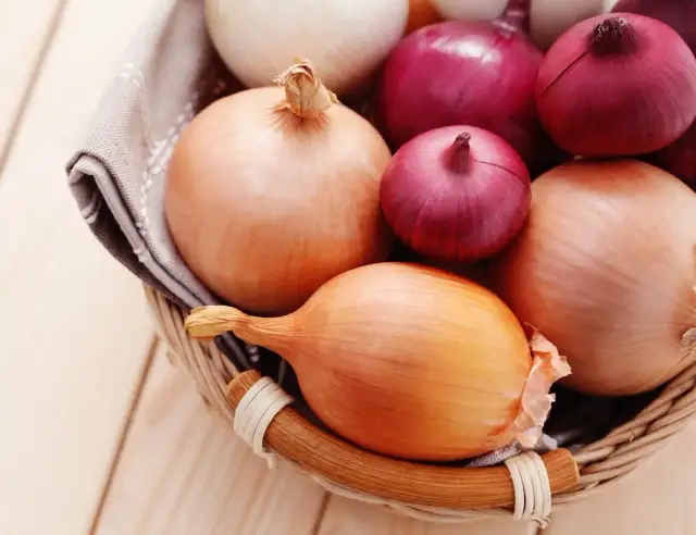 Cebula a zdrowie psa: dlaczego nie powinieneś jej podawać