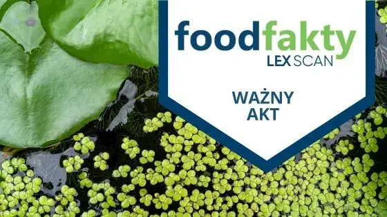 Rzęsa wodna: superfood przyszłości? Poznaj jej moc i bezpieczeństwo