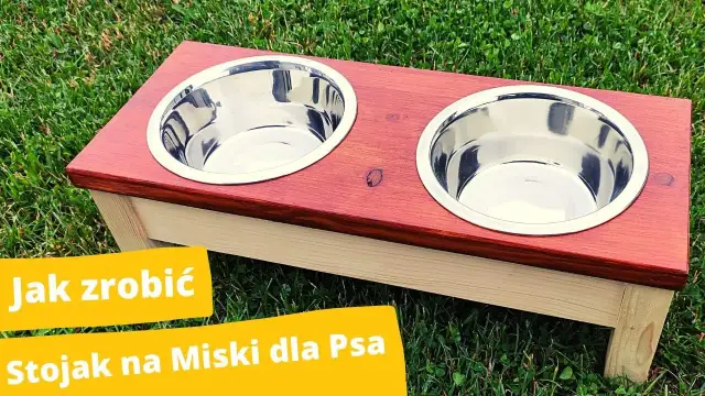 Jak zrobić stojak na miski dla psa - proste i tanie sposoby DIY