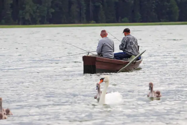 Jezioro Graniczne Lubuskie: atrakcje, bezpieczeństwo i wędkarstwo