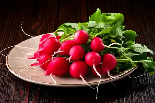 Kiedy sezon na rzodkiewki? Poznaj najlepszy czas na zakup i smak