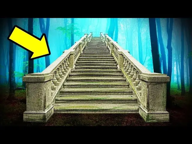 Schody w lesie o co chodzi? Tajemnicze znaki w naturze, które zaskakują