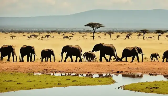 Kenia kiedy jechać: odkryj najlepszy czas na safari i plażowanie