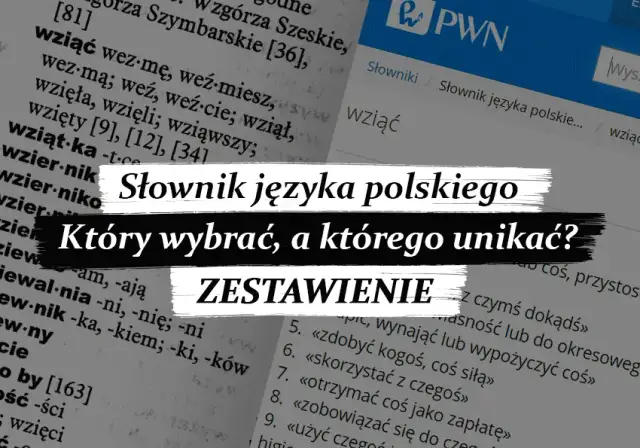 Słownik języka polskiego: online czy papier? Wybierz swój idealny!