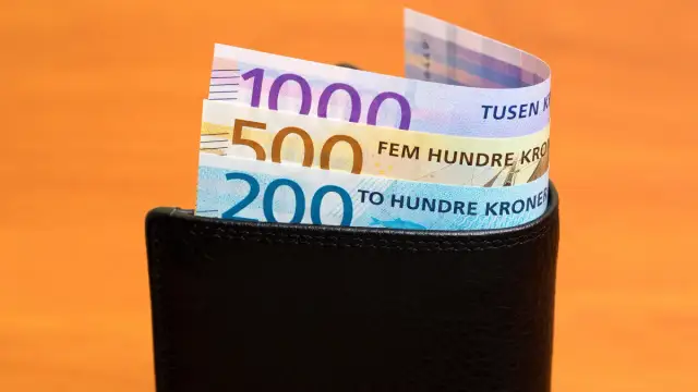 Ile zarabia weterynarz w Norwegii? Zaskakujące różnice w wynagrodzeniach