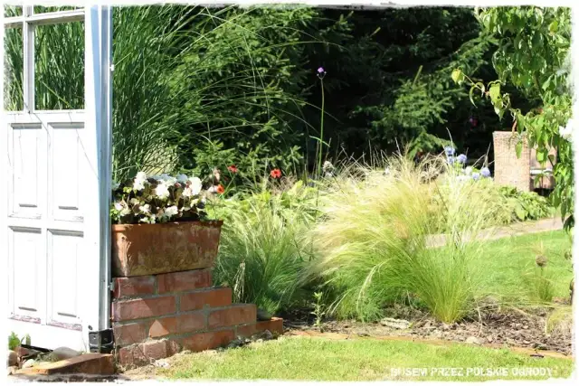 Kreatywne pomysły na stare drzwi w ogrodzie – tanie i efektowne dekoracje DIY