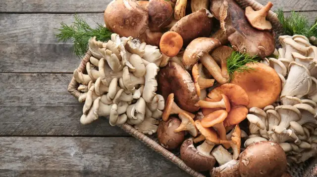 Czy grzyby są zdrowe? Poznaj 7 zaskakujących właściwości odżywczych