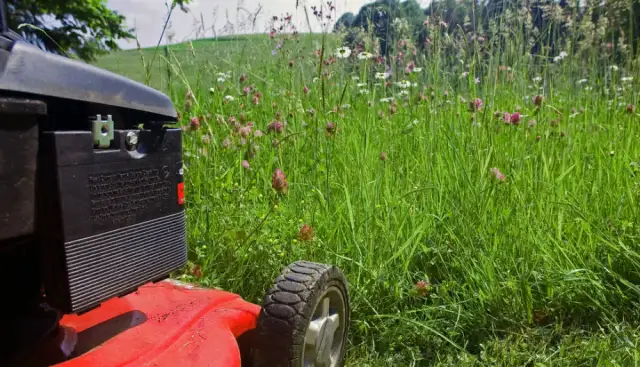 Najlepsza kosiarka do wysokiej trawy – uniknij błędów przy wyborze