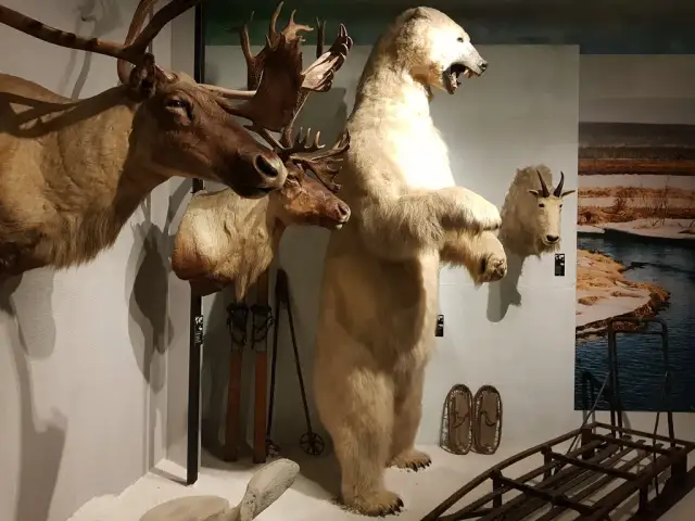 Muzeum Łowiectwa i Jeździectwa: Godziny, bilety, wystawy Pełny przewodnik