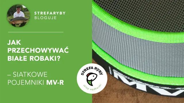 Jak przechowywać robaki na ryby? Sekrety długiej żywotności przynęt