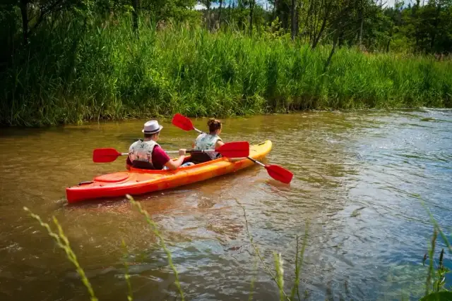 Spływ kajakowy Obrocz: Trasy, Ceny i Poradnik 2026