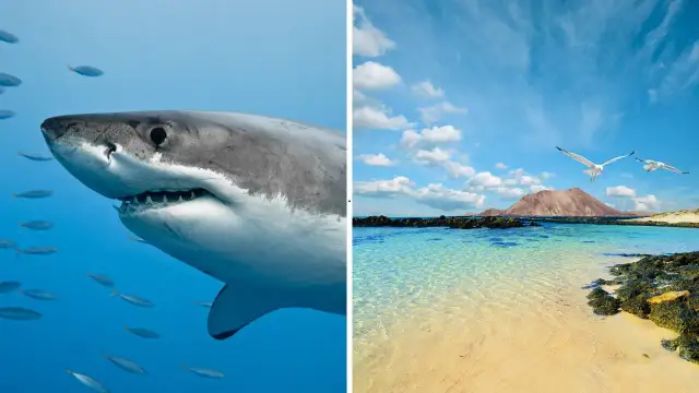 Fuerteventura czy jest bezpiecznie? Odkryj zagrożenia i porady dla turystów