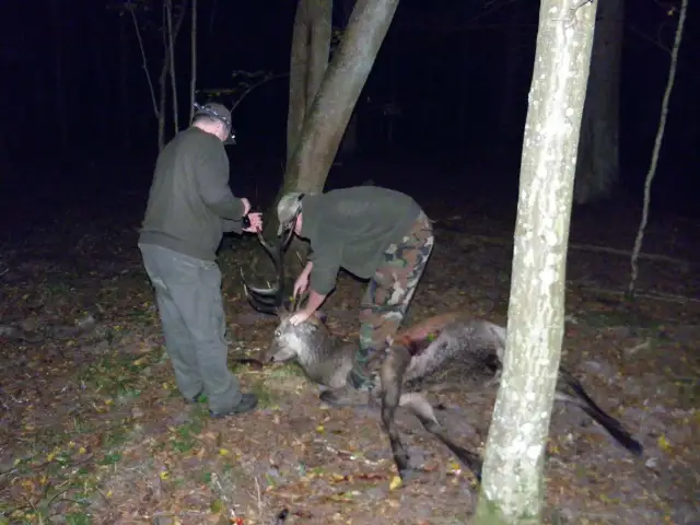 Co myśliwy robi z upolowaną zwierzyną? Pełny przewodnik