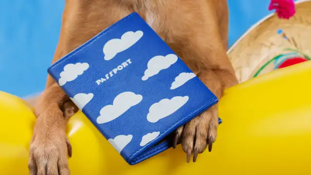 Paszport dla psa ile ważny? Sprawdź, jak uniknąć problemów z ważnością