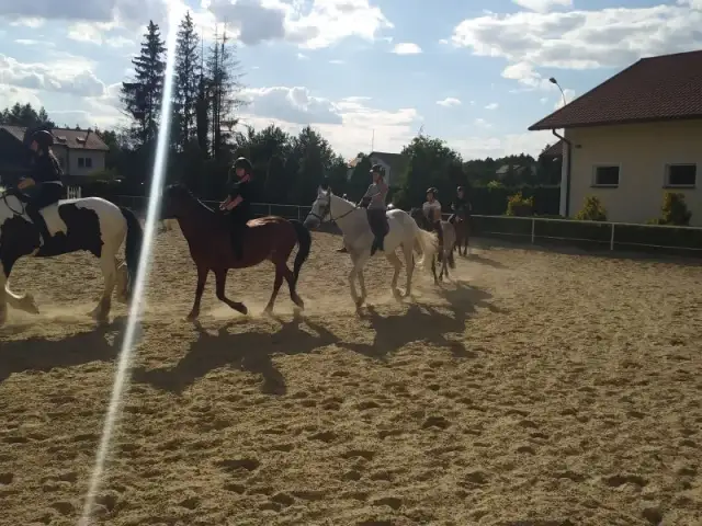 Stadnina koni Leśna Wola Rzeszów – idealne miejsce na jazdę konną