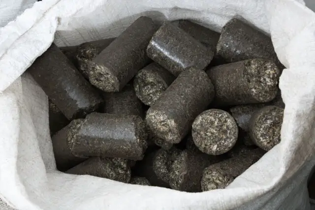 Brykiet czy węgiel? Sprawdź, co ogrzeje Twój dom taniej i ekologiczniej!