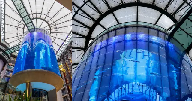 AquaDom oceanarium Berlin - tragiczne wydarzenia i plany na przyszłość