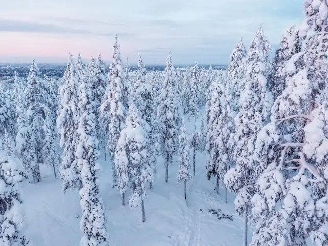 Laponia atrakcje: odkryj niezwykłe miejsca na każdą porę roku