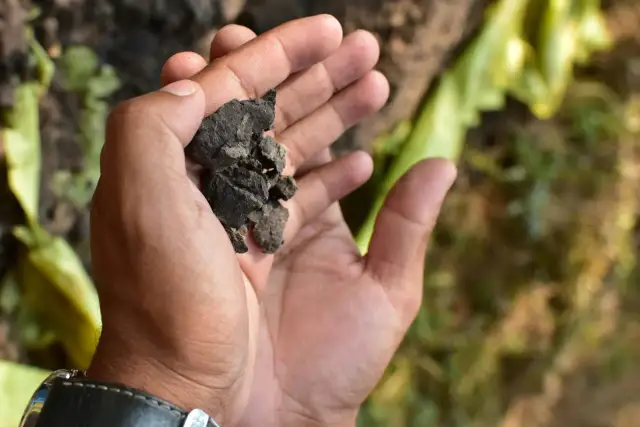 Jak sprzedać działkę na wsi - uniknij najczęstszych błędów i kosztów