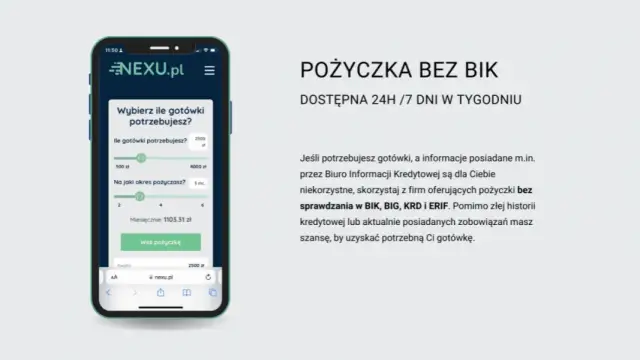 Gdzie pożyczka bez BIK – łatwe opcje dla osób z problemami kredytowymi