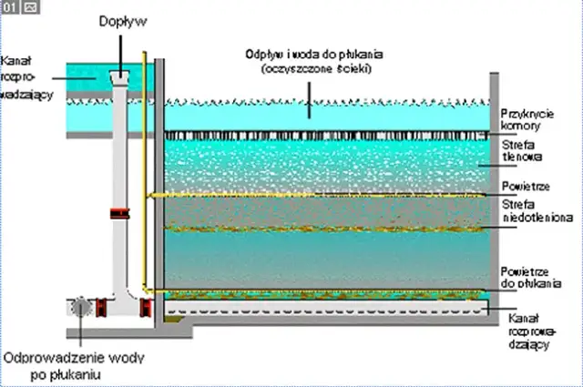 Jak działa oczyszczalnia ścieków? Poznaj proces krok po kroku