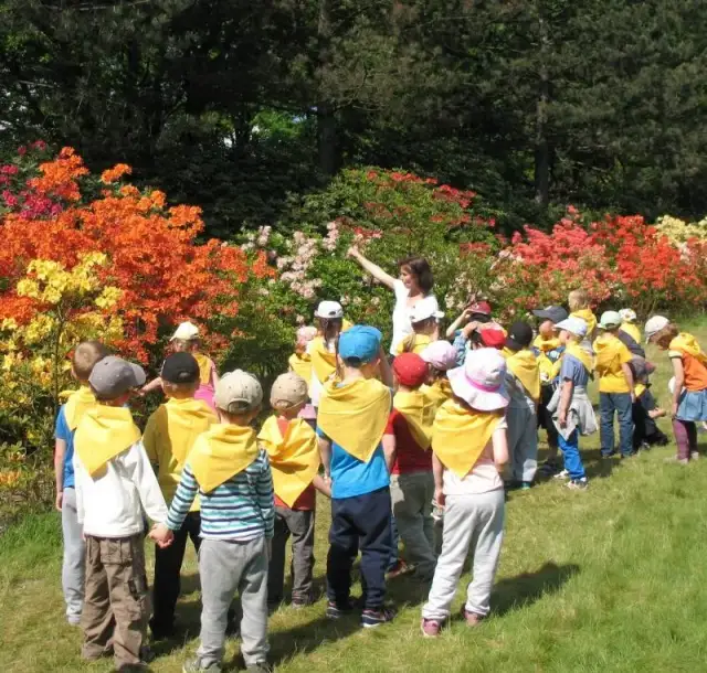 Kiedy najlepiej jechać do Powsina, aby uniknąć tłumów i cieszyć się przyrodą