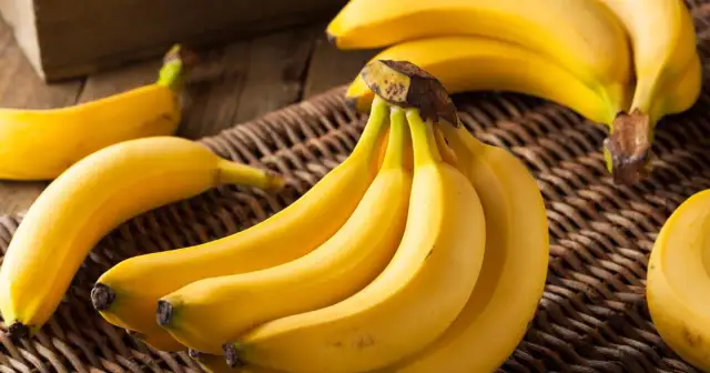 Koty a banany: Czy to bezpieczne? Poznaj ryzyko i zasady