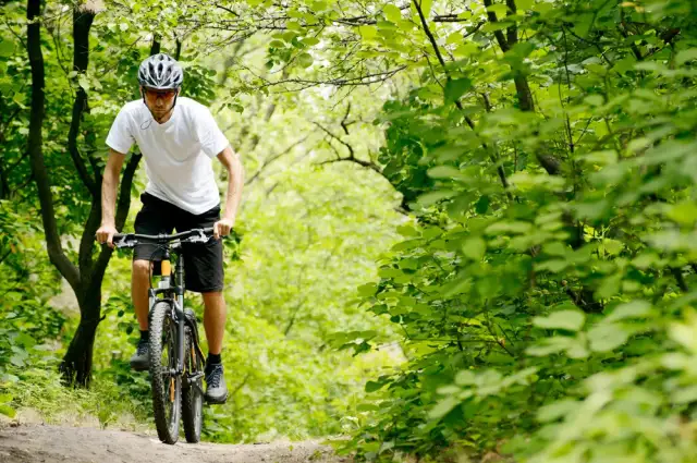 Najlepsze trasy rowerowe w Swornegaciach – odkryj malownicze szlaki