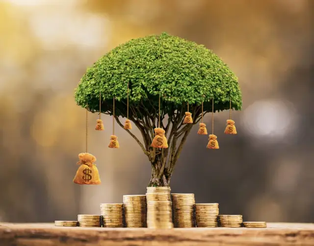 Czy pieniądze dają szczęście? Rozważania na temat bogactwa i radości