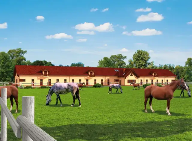 Ile kosztuje budowa stajni? Oszczędź nawet 30% na inwestycji