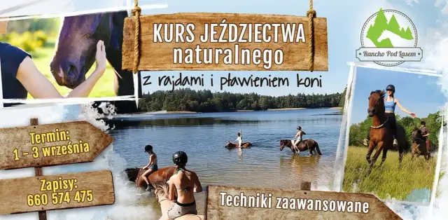 Jeździectwo naturalne kursy - jak wybrać najlepszy program szkoleniowy?