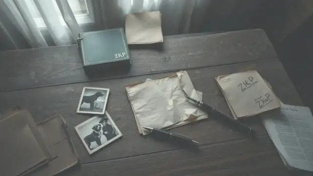 Jak uzyskać rodowód dla psa - uniknij kosztownych błędów i zyskaj pewność