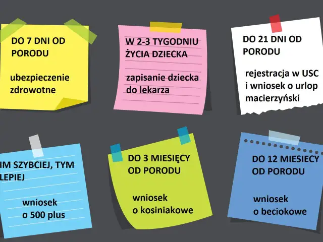 Lista zadań po porodzie: ubezpieczenie, rejestracja dziecka, wniosek o 500+, becikowe. Co trzeba załatwić po urodzeniu dziecka.