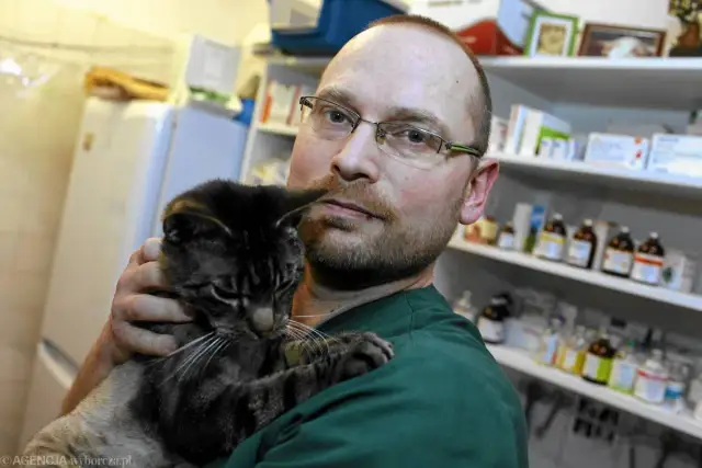 Gdzie pracuje weterynarz? Nie tylko w gabinecie! Pełna lista miejsc