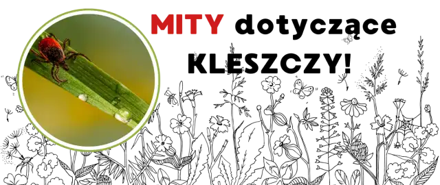 Ile kleszczy przenosi boreliozę i jak się przed nimi chronić