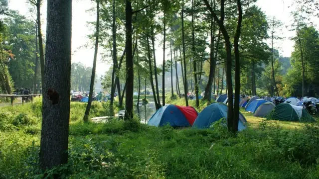 Kolorowe namioty rozstawione na trawie tworzą malownicze pole namiotowe w Świętokrzyskiem, otoczone zielenią i drzewami.