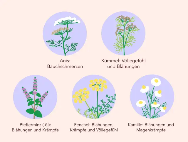 Reizdarm Medikamente: Effektive Lösungen für Ihre Beschwerden finden