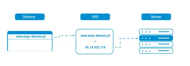 Hosting i domena: Fundamenty strony. Jak to działa?