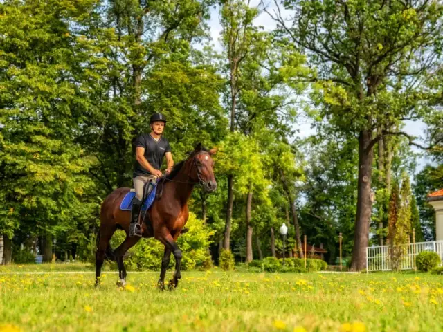 Stadniny koni Warszawa: Jak wybrać idealną? Ceny, lokalizacje i porady