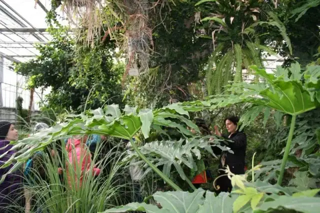 Kiedy najlepiej jechać do Powsina, aby uniknąć tłumów i cieszyć się przyrodą