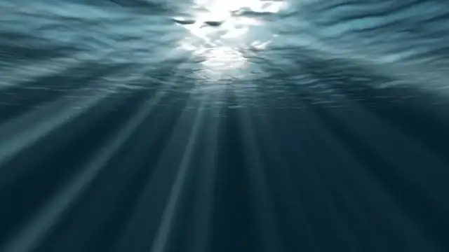 Mestor muzyka elektroniczna: Odkryj relaksujące dźwięki chilloutu