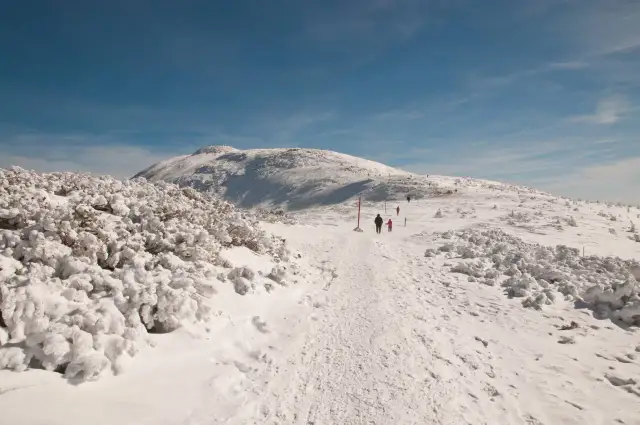 Babia Góra: Szlaki na szczyt znajdź swój idealny!