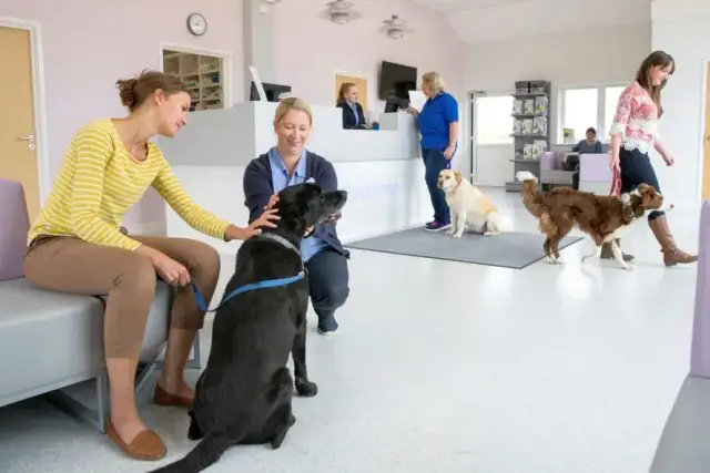 Wann rechnet Tierarzt 3-fachen Satz ab? Vermeiden Sie hohe Kosten!