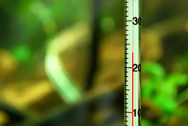 Termometr akwariowy pokazuje temperaturę około 22 stopni Celsjusza na tle zielonych roślin.
