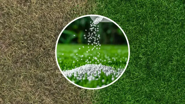 Siarczan amonu na trawnik: Kiedy i jak stosować? Poradnik
